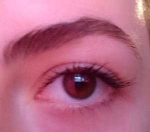 19427475_1440757009301473_1287759822_n